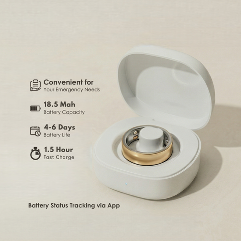 Ring Charge Case